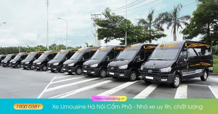 Xe limousine Hà Nội Cẩm Phả - Nhà xe uy tín, chất lượng 34 xe limousine ha noi cam pha 3